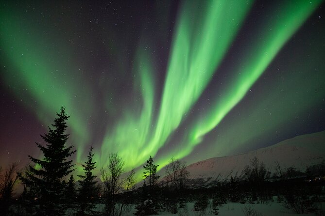 Aurora Safari Chase by big bus, free Photos, toilet onboard - Inside the 5-to-8-hour flow: what each stop feels like
