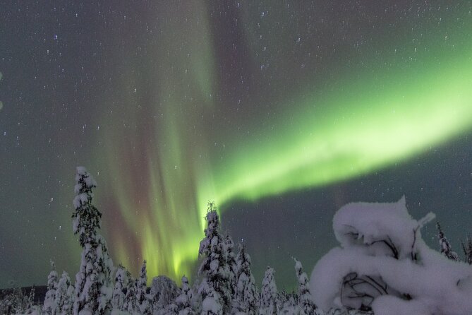 Aurora Sleighers Snowmobile Tour in Fairbanks - Who this tour fits best (and who should think twice)