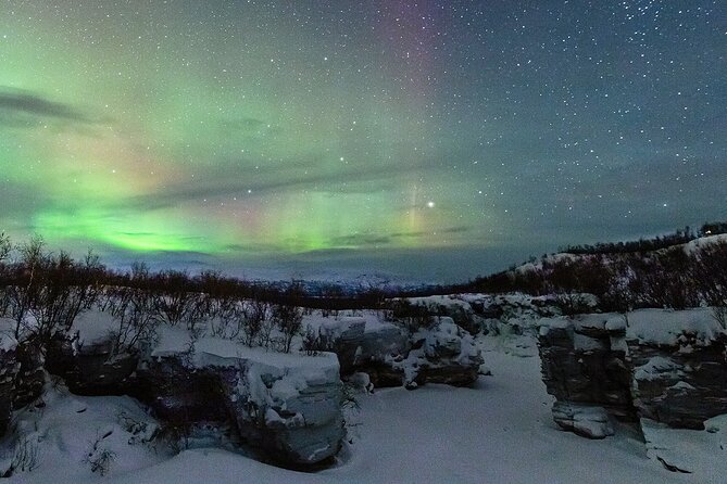 Aurora Tour with Dinner in Abisko - Key things that make this tour work well