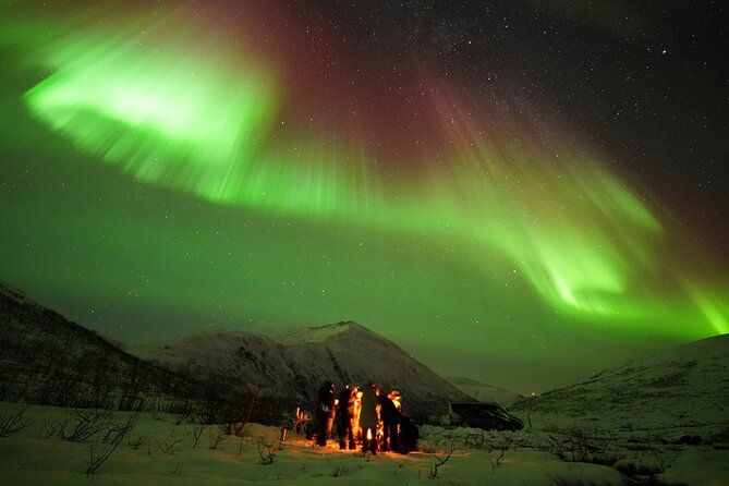 Aurora tour with free portrait and bonfire - Photo Help That Goes Beyond Point-and-Shoot
