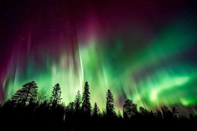 Aurora Viewing Lodge - A warm log lodge in Fairbanks at night