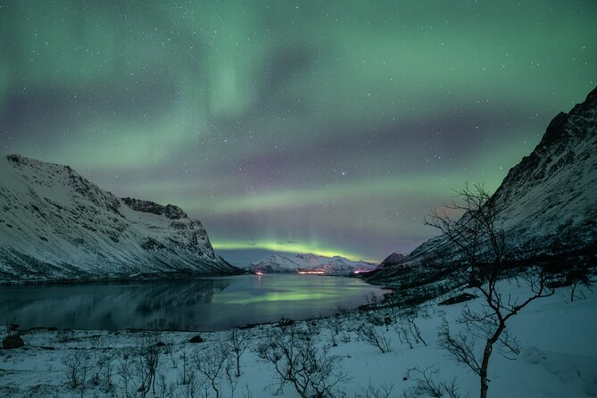Auroras Hunt - Tour in Spanish, Northern Lights Chase in Spanish - Price and Value: What $243.65 Buys You in Real Terms