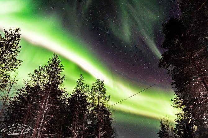 Auroras - Northern Lights Tours by Aurora Experts - Rovaniemi - Key things to know before you go