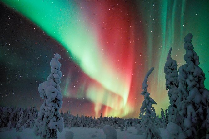 Auroras - Northern Lights Tours by Aurora Experts - Rovaniemi - A hilltop goal: why this aurora setup works better than city watching