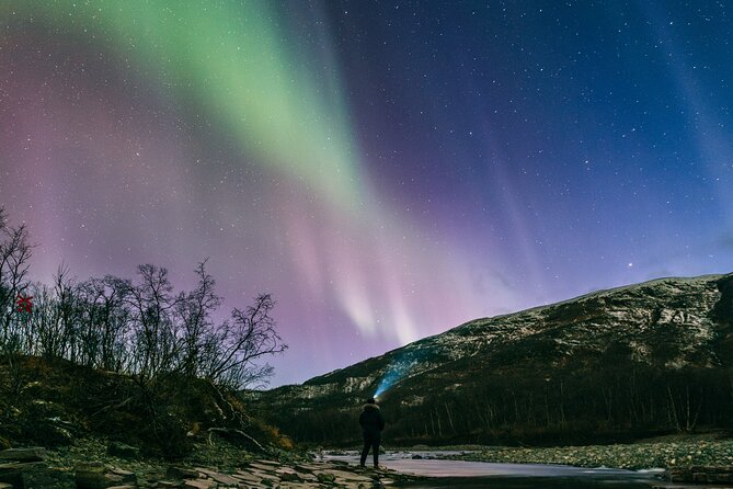 Autumn Abisko Aurora Chase - The 4-Hour Bus Search: How the Tour Feels in Real Life