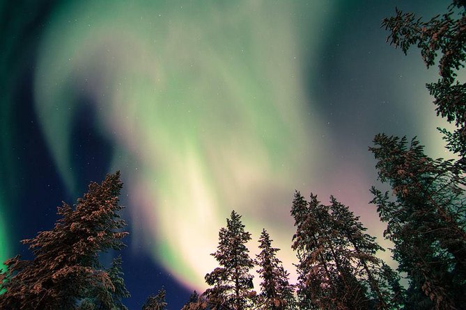Autumn Aurora Borealis Picnic in Rovaniemi - Why an aurora picnic in Rovaniemi feels smarter than a drive-by viewing