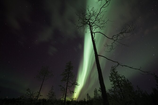 Autumn Aurora Borealis Picnic in Rovaniemi - Should you book the Autumn Aurora Borealis Picnic?
