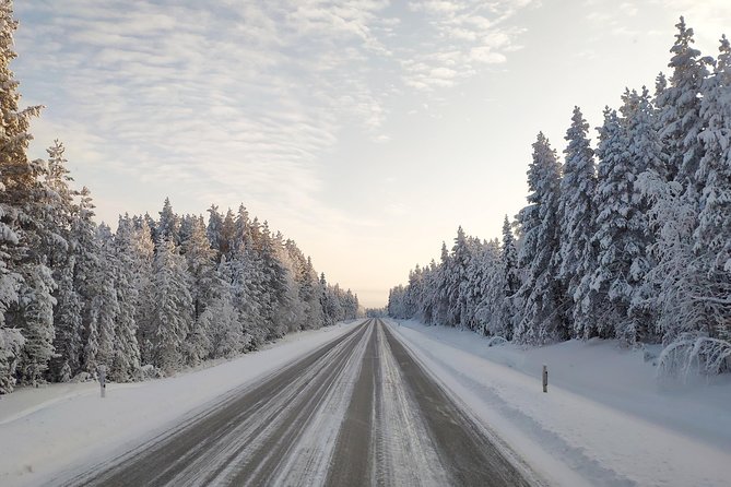 Best Of Lapland: Sauna, Ice swimming, Dinner & Northern Lights - Northern Lights: When You’ll See Them, and When You Shouldn’t Bet Your Mood