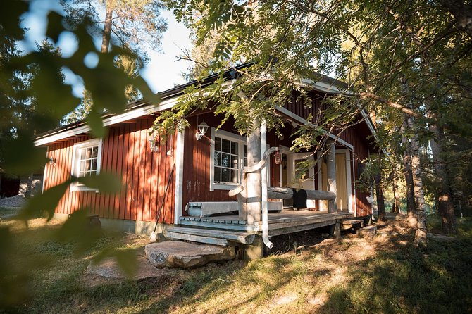 Best Of Lapland: Sauna, Ice swimming, Dinner & Northern Lights - Should You Book This Sauna, Ice Swimming, Dinner, and Northern Lights Tour?