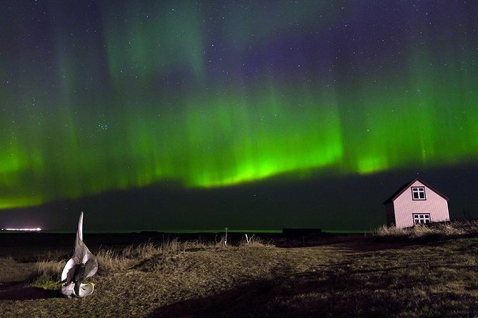 Blue Lagoon and Northern Lights Tour Including Admission - Value for Money: Is $228.87 a Fair Deal?