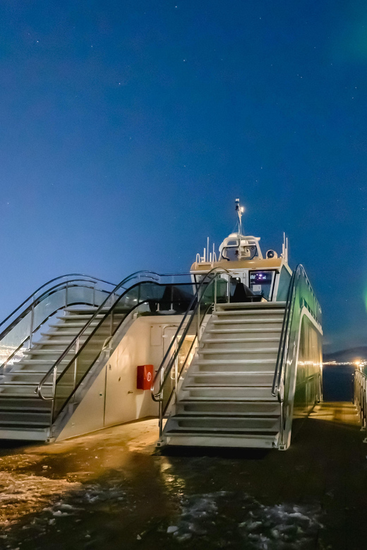 Bodø: Northern Lights Cruise - Key Points Before You Go