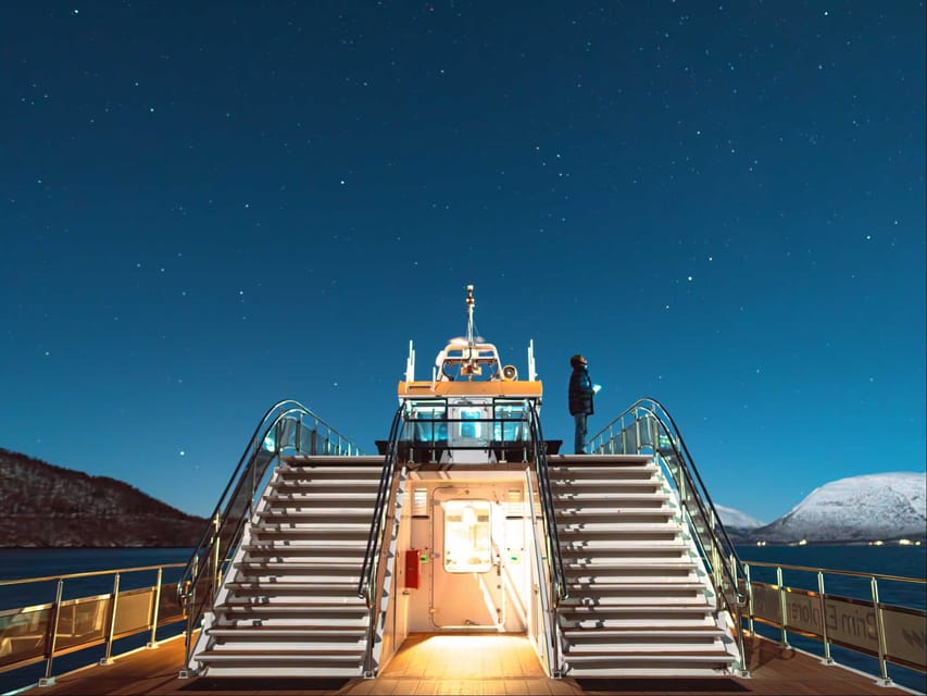 Bodø: Northern Lights Cruise - What the English Guide Actually Does for Your Aurora Chances