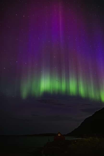 Bodø: Northern Lights safari - Key Points You’ll Care About
