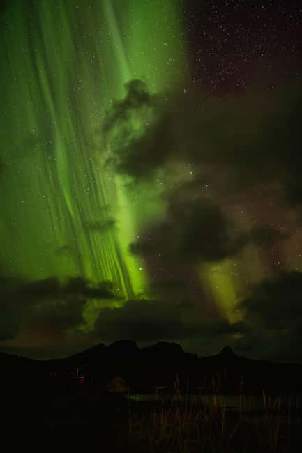 Bodø: Northern Lights safari - How the Guide Chooses Where You Go (and Why Forecast-Led Moves Matter)