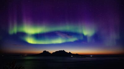 Bodø: Northern Lights safari - The 3-Hour Plan From Radisson Blu Bodø: Stops, Timing, and What Each Moment Feels Like