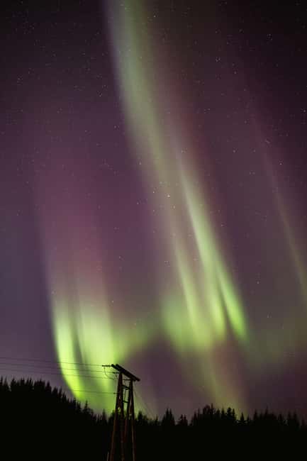 Bodø: Northern Lights safari - Should You Book This Northern Lights Bus Tour?