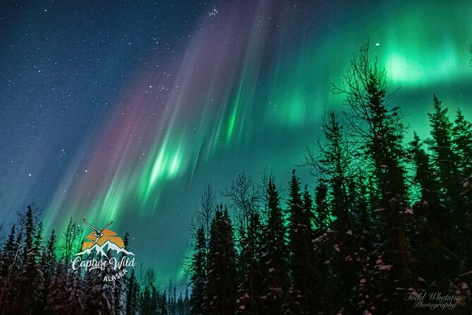 Capturing the Ethereal Beauty: Northern Lights Photo Workshop - Key things I’d plan around