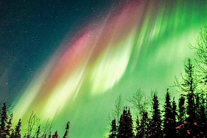 Capturing the Ethereal Beauty: Northern Lights Photo Workshop - How the Instruction Actually Helps (Instead of Overloading You)