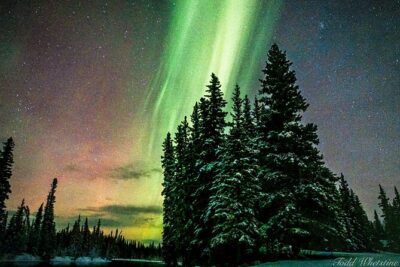 Capturing the Ethereal Beauty: Northern Lights Photo Workshop - Dark-Sky Stops: The Real Advantage of Getting Away From Light Pollution