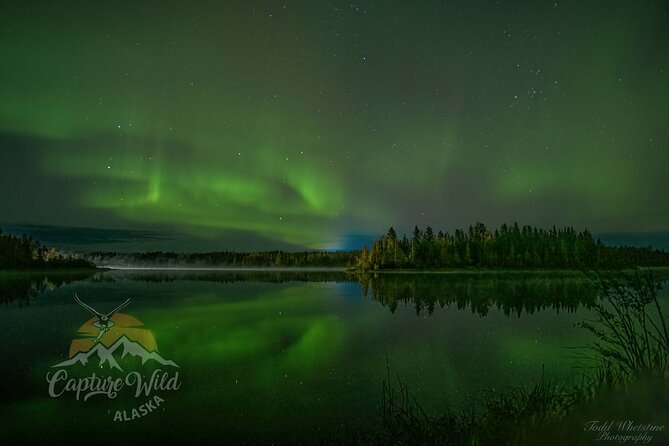 Capturing the Ethereal Beauty: Northern Lights Photo Workshop - Comfort Matters: Snacks, Warm Drinks, and Cold-Weather Reality