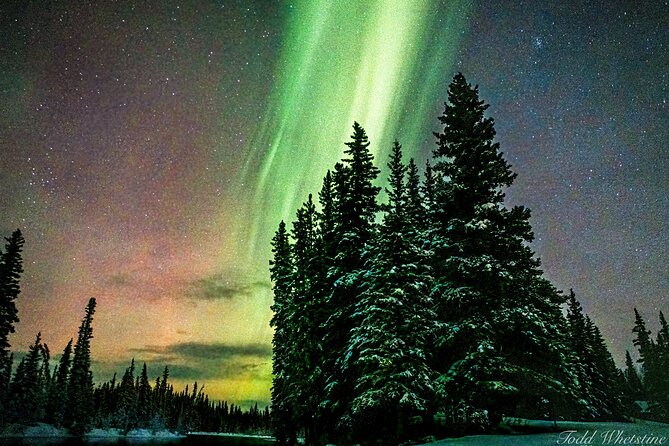 Capturing the Ethereal Beauty: Northern Lights Photo Workshop - Dark-Sky Stops: The Real Advantage of Getting Away From Light Pollution