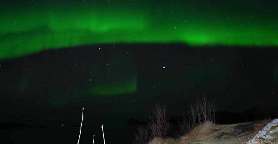 Chase the Magic of the Northern Lights in Tromsø Norway - Key highlights you’ll feel right away