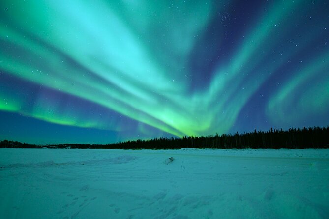 Chasing Aurora with Photographer - Small Group - Who Should Book This Aurora Chase (and Who Might Want Another Plan)
