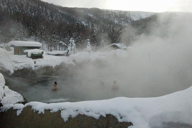 Chena Hot Springs Aurora Tour - Key Highlights You’ll Feel Right Away