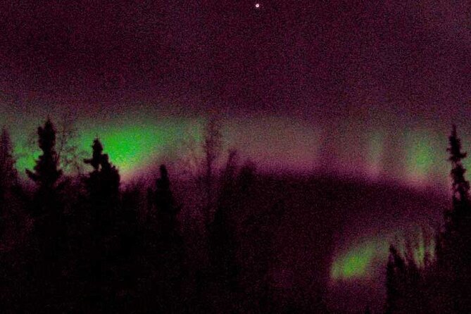 Chena Hot Springs Aurora Tour - Food, Comfort, and Winter Timing That Actually Help