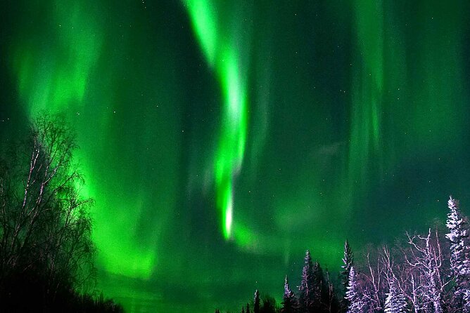 Chena Hot Springs Aurora Tour - The 5 PM Pickup Plan (and What to Expect)