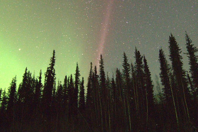 Chena Hot Springs Northern Lights Aurora Borealis From Fairbanks - Who should book this Chena Hot Springs and aurora tour?
