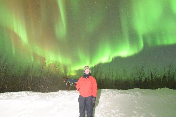 Chena Hot Springs Northern Lights Aurora Borealis From Fairbanks - Ice Museum + Ice Bar: the cold-weather counterpoint