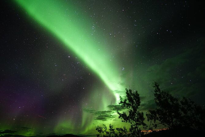 Discover Whitehorse with Northern Lights and Yukon Wildlife Tour - Hotels, transfers, and the value of the package price