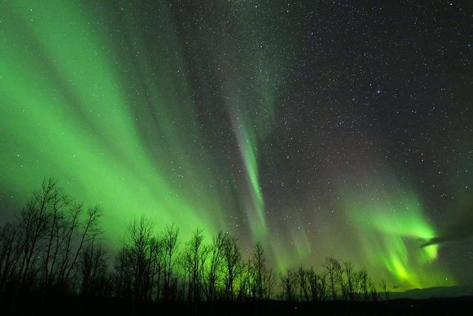 Enjoy the Aurora show on top of the mountain inc tipi dinner - Price Check: Is $338.80 Good Value in Kiruna?