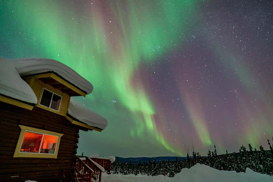 Fairbanks: Aurora Borealis Northern Lights Tour - How Aurora Forecasting Changes the Odds in Fairbanks