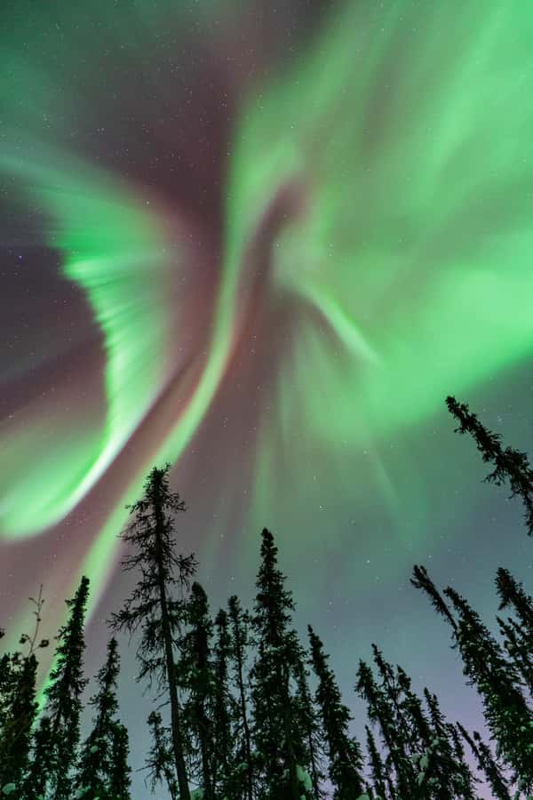 Fairbanks: Aurora Borealis Northern Lights Tour - Inside the Comfortable Base Camp: Waiting Without Losing Your Night
