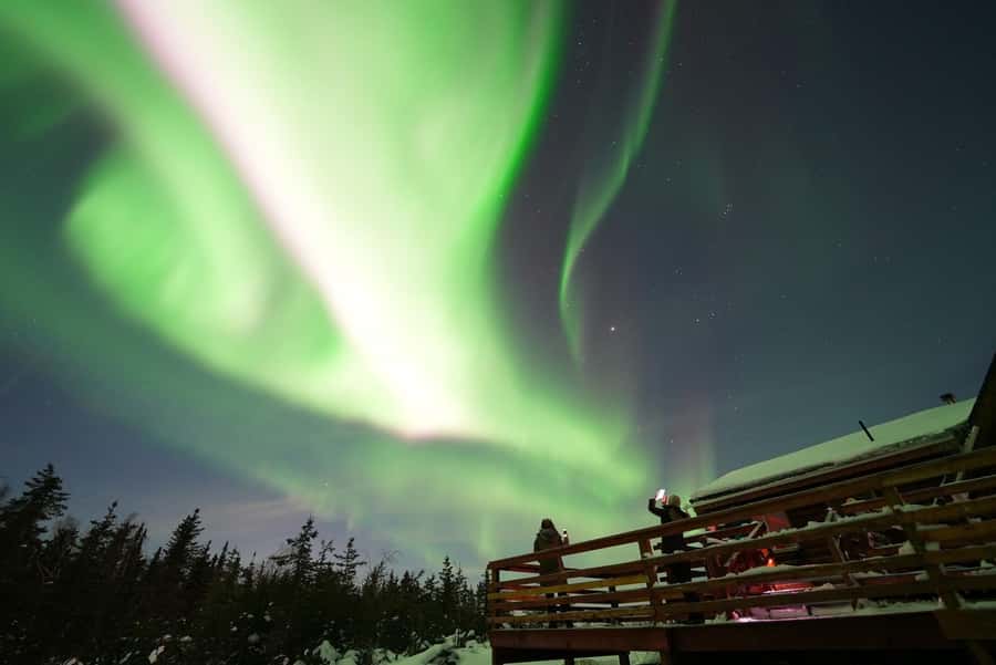 Fairbanks: Aurora Husky Lodge Aurora Viewing Tour - The Viewing Plan: Ridge-Top Watching and the Host’s Sky Strategy