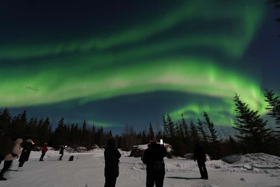 Fairbanks: Aurora Husky Lodge Aurora Viewing Tour - Price and Value: Is $130 Worth It for an Aurora Night?