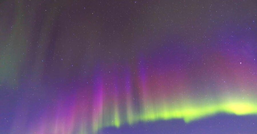 Fairbanks: Moonlight Dog Sled, Dinner & Northern Lights - The Moonlight Dog Sled Ride: The Main Event Is the Dogs