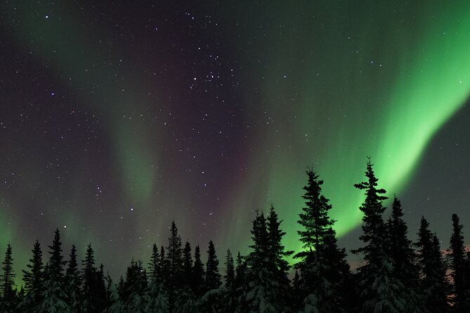 Fairbanks Northern Lights Adventure with free Aurora portraits - Key Highlights You’ll Actually Care About