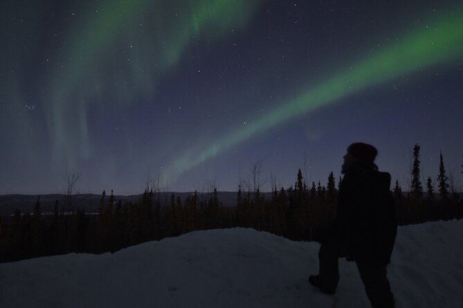 Fairbanks Northern Lights Adventure with free Aurora portraits - The Viewing Spots: Multiple Vantage Points, Different Views