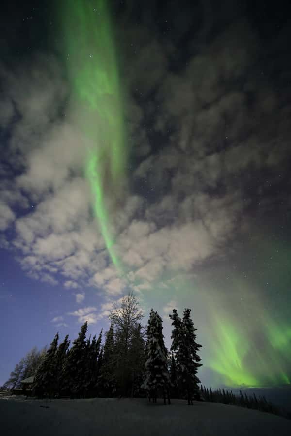 Fairbanks: Northern Lights Adventure with Photos & HOT PIZZA - Professional photos included: portraits and sky shots