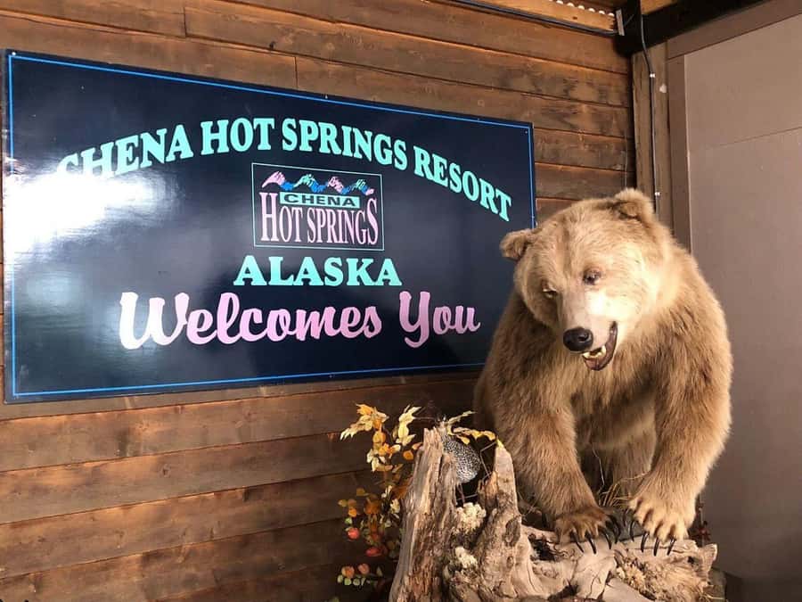 Fairbanks: Northern Lights and Chena Hot Springs Tour - Getting to Chena: the Fairbanks Night Drive and Wildlife Watch