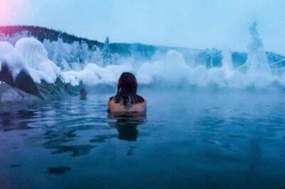 Fairbanks: Northern Lights and Chena Hot Springs Tour - Aurora Ice Museum: Ice Art, Ice Bar, and How to Photograph It