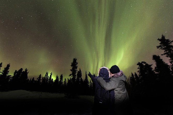 Fairbanks Northern Lights Tour - Key points before you book