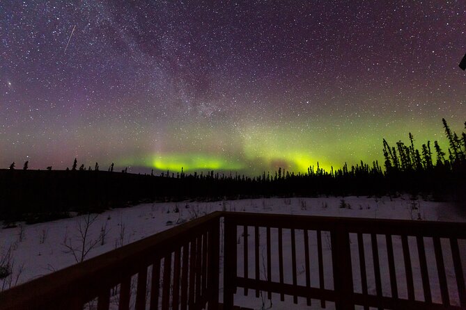 Fairbanks Northern Lights Tour - Staying warm: complimentary clothes, hot drinks, and shelter