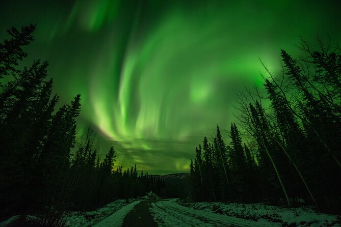 Fall Aurora Mushing Cart Ride Bucket List Adventure - Key things to know before you go