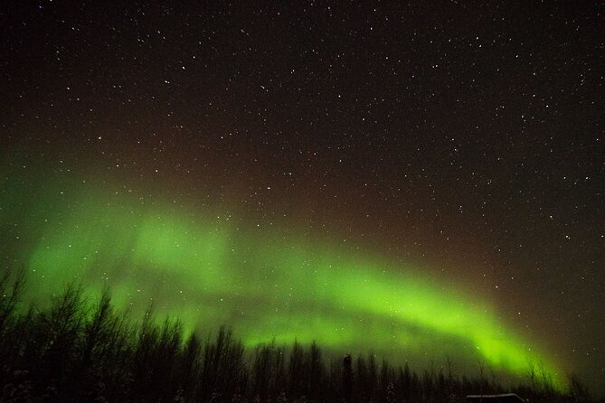 Fall Aurora Mushing Cart Ride Bucket List Adventure - Price and Value: Why $200 Can Make Sense