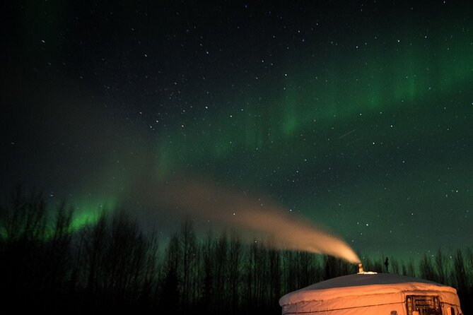 Fall Aurora Mushing Cart Ride Bucket List Adventure - Pre-Ride Yurt Warm-Up and Dog Time in the Woods