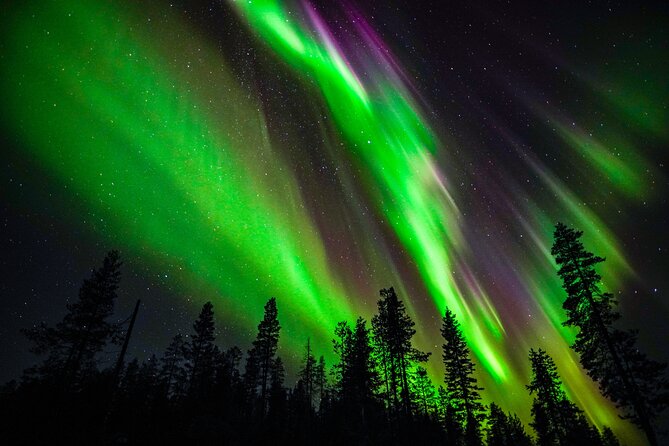 Family-Friendly: Northern Lights Adventure from Rovaniemi - Key Things To Know Before You Go